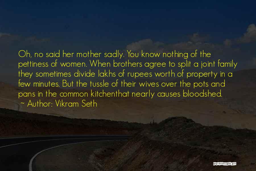 Vikram Seth Quotes 1366298