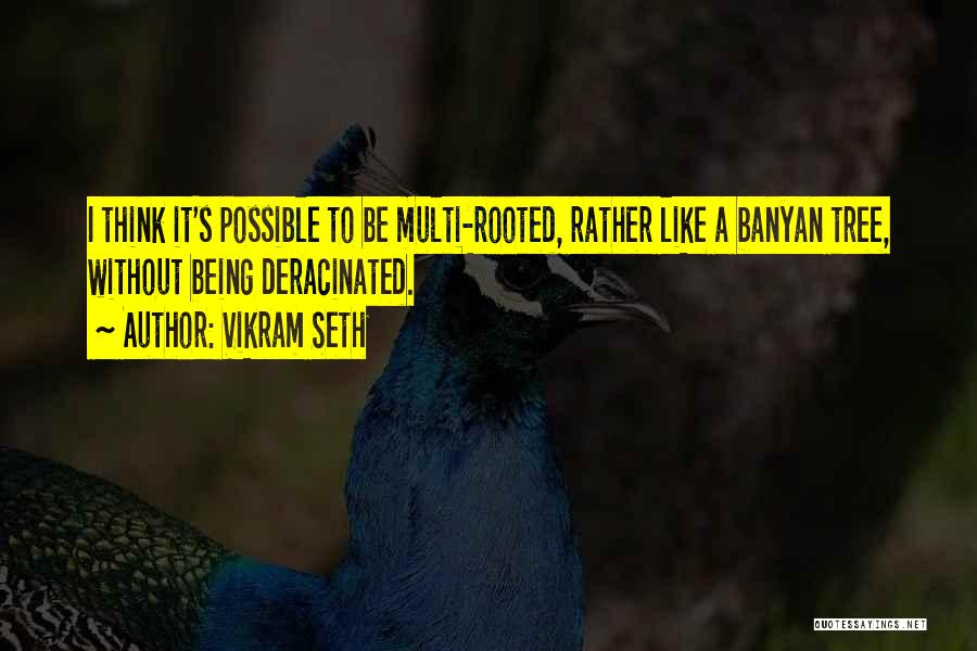 Vikram Seth Quotes 269542