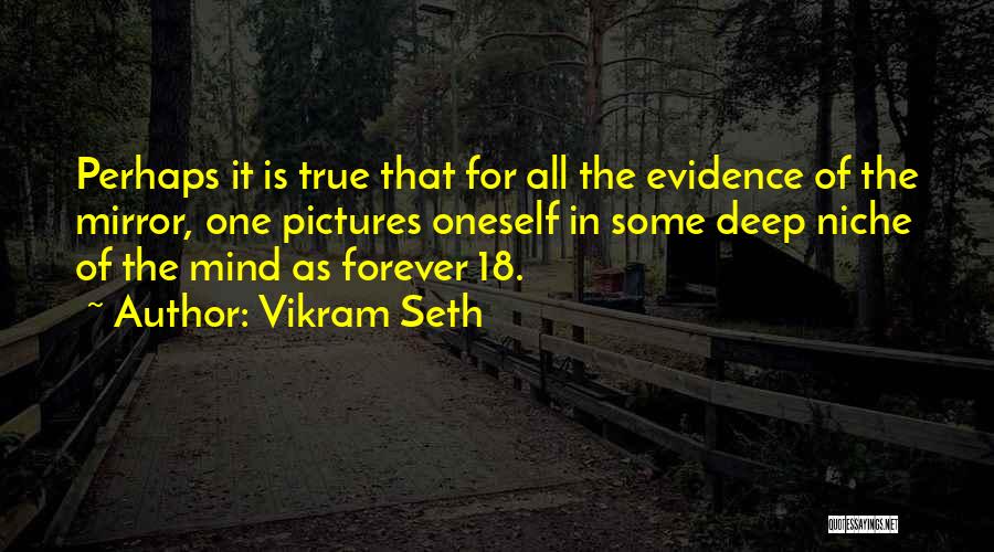 Vikram Seth Quotes 522264