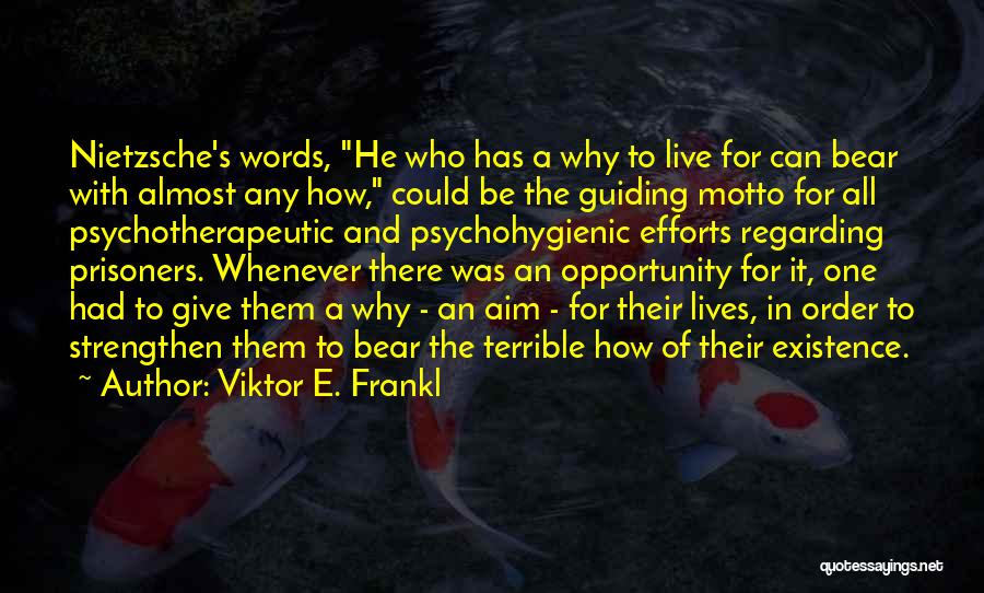 Viktor E. Frankl Quotes 2243144