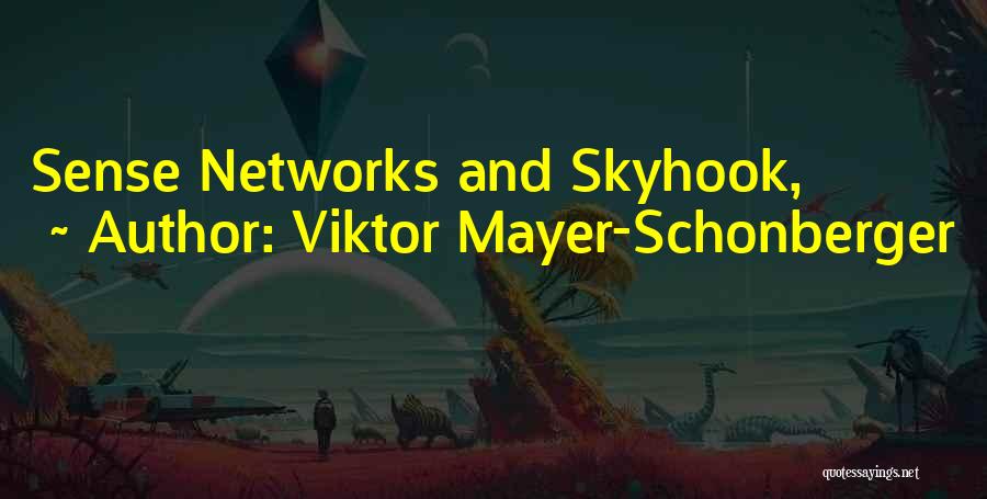 Viktor Mayer-Schonberger Quotes 1323873