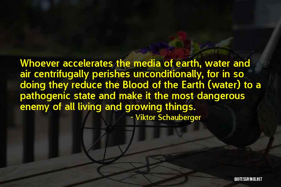 Viktor Schauberger Quotes 989953