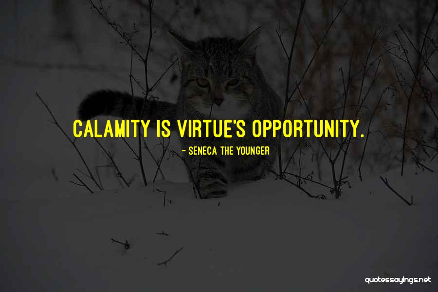 Vilangu In English Quotes By Seneca The Younger Vilangu In English Quotes By Seneca The Younger