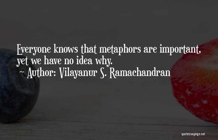 Vilayanur S. Ramachandran Quotes 932506