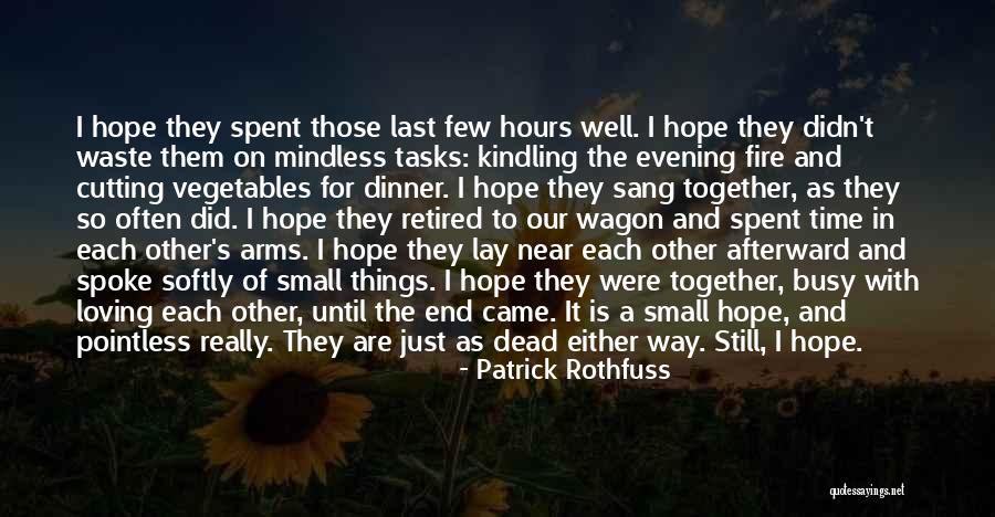 Vileda Professional Quotes By Patrick Rothfuss Vileda Professional Quotes By Patrick Rothfuss