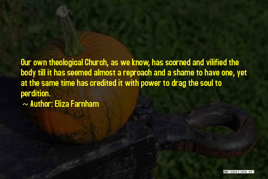 Vilified Quotes By Eliza Farnham