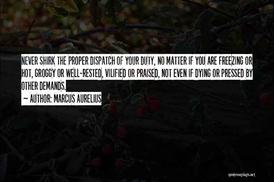 Vilified Quotes By Marcus Aurelius