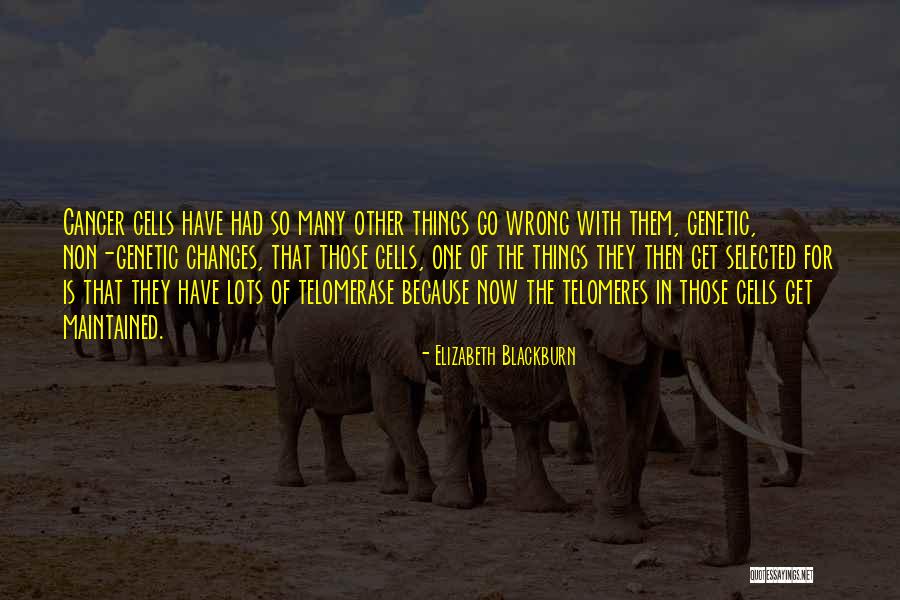 Villager Trades Quotes By Elizabeth Blackburn Villager Trades Quotes By Elizabeth Blackburn