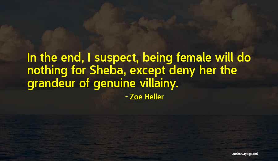 Villainy Quotes By Zoe Heller