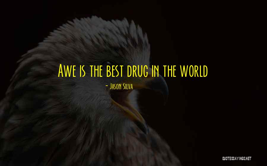 Villars Chapel Quotes By Jason Silva Villars Chapel Quotes By Jason Silva