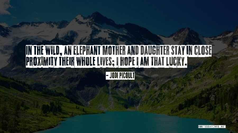 Villaruz Villaruz Quotes By Jodi Picoult Villaruz Villaruz Quotes By Jodi Picoult