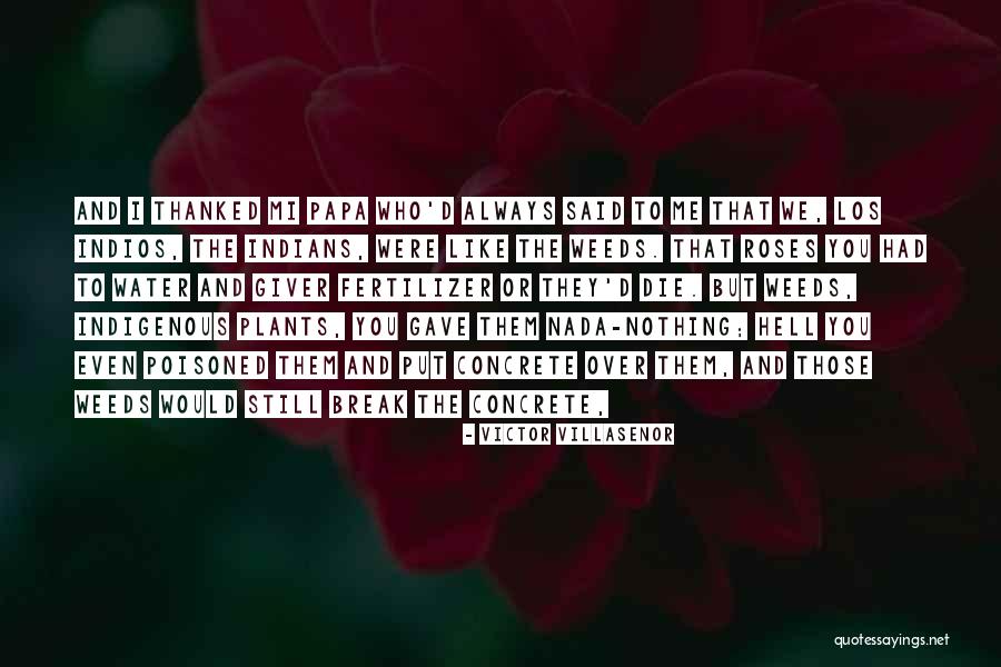 Villasenor Quotes By Victor Villasenor Villasenor Quotes By Victor Villasenor