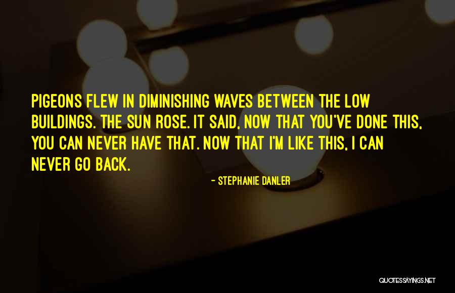 Villavaso Cigar Quotes By Stephanie Danler Villavaso Cigar Quotes By Stephanie Danler