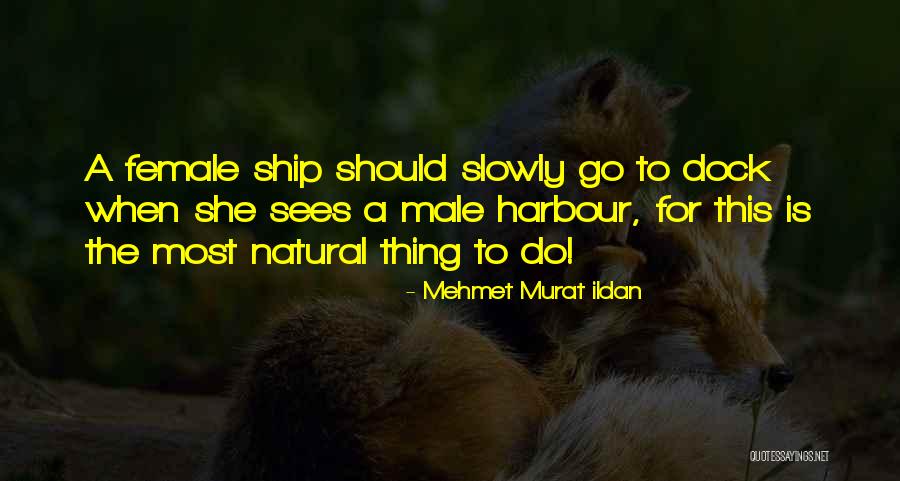 Villavicencio Bogota Quotes By Mehmet Murat Ildan Villavicencio Bogota Quotes By Mehmet Murat Ildan
