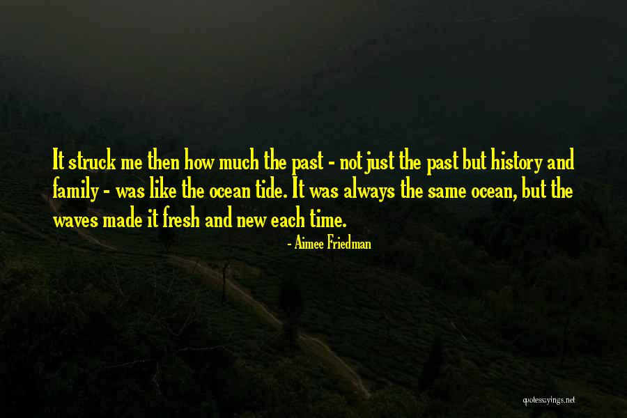 Villemure Goalie Quotes By Aimee Friedman Villemure Goalie Quotes By Aimee Friedman