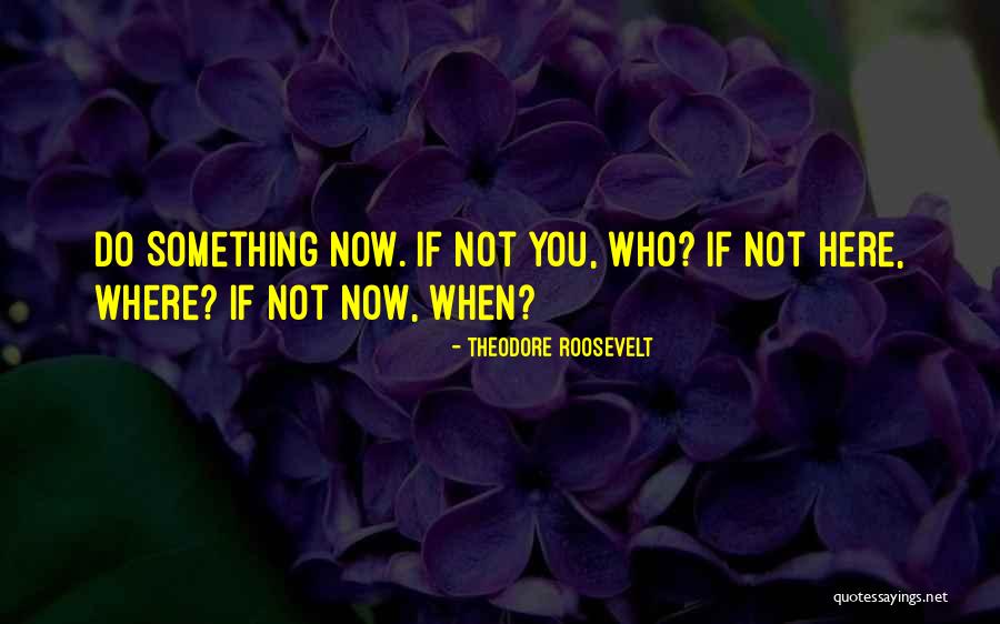 Villemure Goalie Quotes By Theodore Roosevelt Villemure Goalie Quotes By Theodore Roosevelt