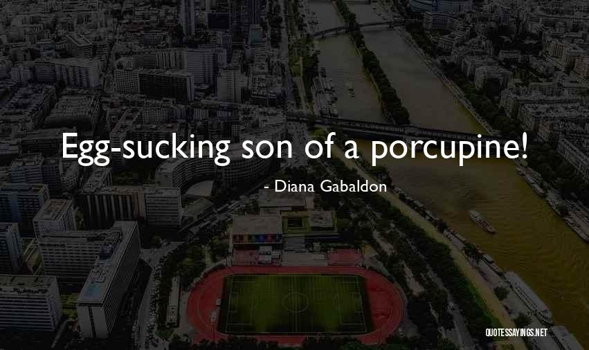 Villemure Quotes By Diana Gabaldon Villemure Quotes By Diana Gabaldon