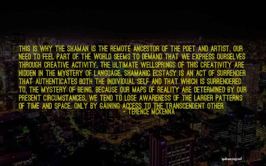 Villepin Children Quotes By Terence McKenna Villepin Children Quotes By Terence McKenna