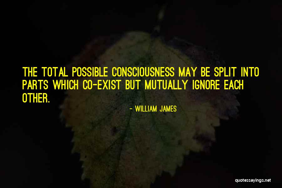 Vilmorin Salinas Quotes By William James Vilmorin Salinas Quotes By William James
