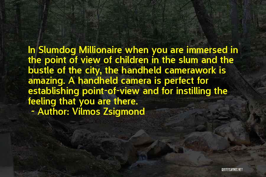 Vilmos Zsigmond Quotes 1625840