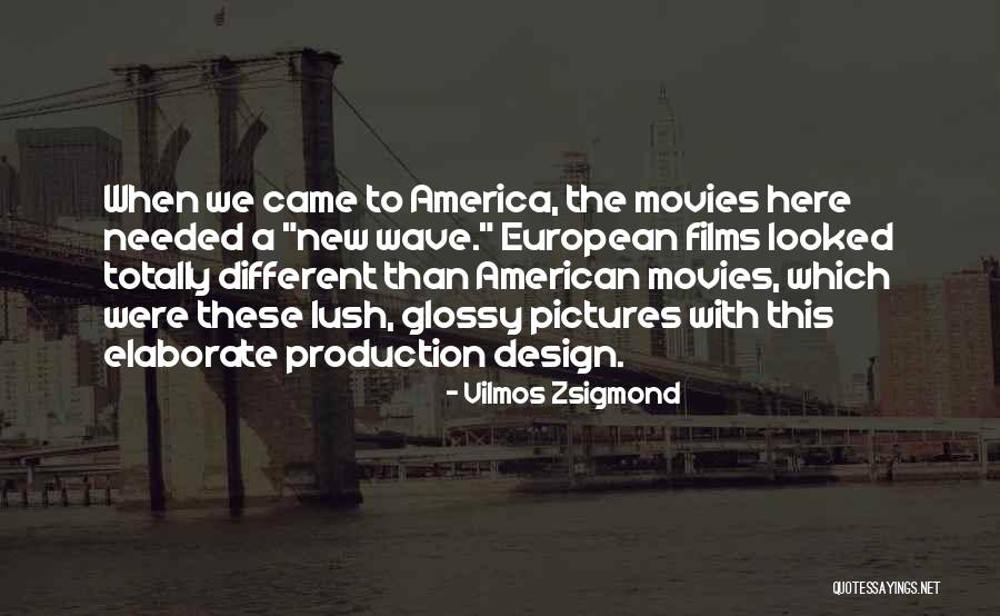 Vilmos Zsigmond Quotes 2234811