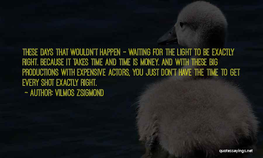 Vilmos Zsigmond Quotes 236802