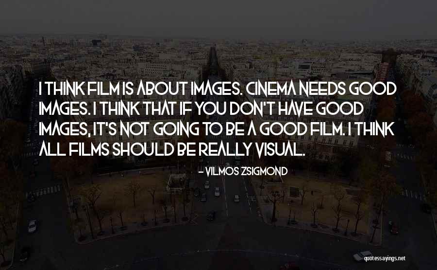 Vilmos Zsigmond Quotes 259469