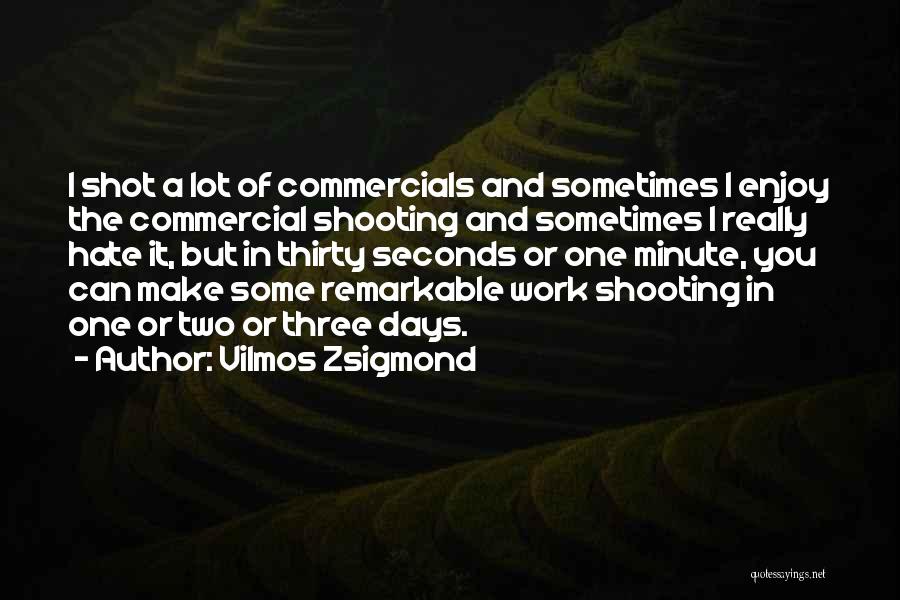 Vilmos Zsigmond Quotes 311025