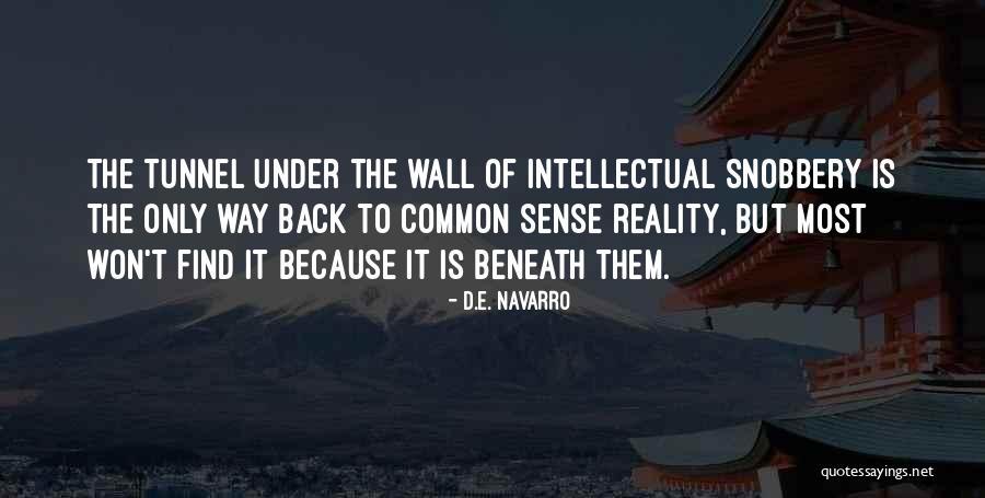 Vilsa Virus Quotes By D.E. Navarro Vilsa Virus Quotes By D.E. Navarro