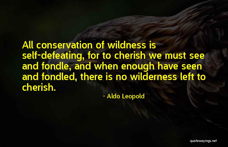 Vilties Mokykla Quotes By Aldo Leopold Vilties Mokykla Quotes By Aldo Leopold