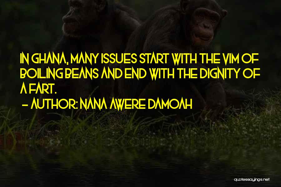 Vim Quotes By Nana Awere Damoah