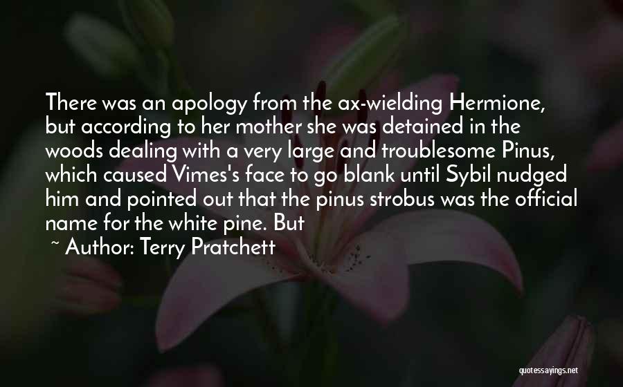 Vimes Quotes By Terry Pratchett