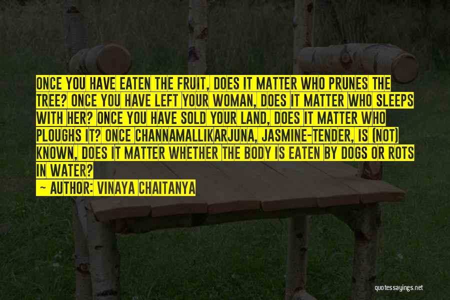 Vinaya Chaitanya Quotes 231700