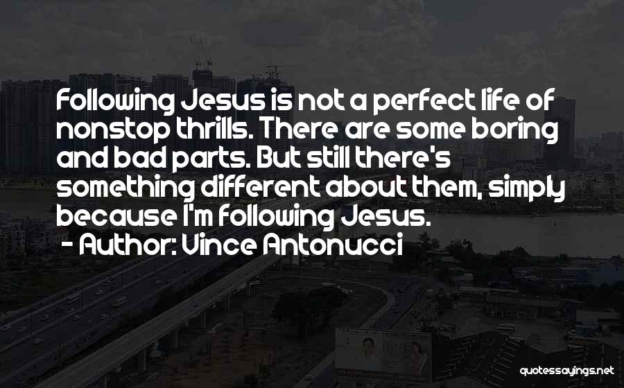 Vince Antonucci Quotes 1725551