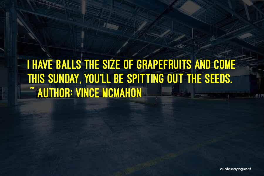 Vince McMahon Quotes 1192670