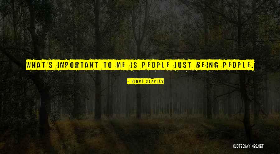 Vince Staples Quotes 2038263 Vince Staples Quotes 2038263