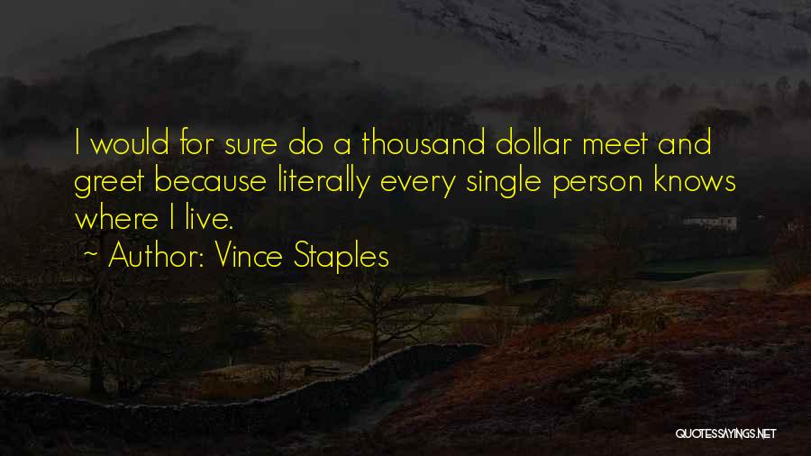 Vince Staples Quotes 2207661