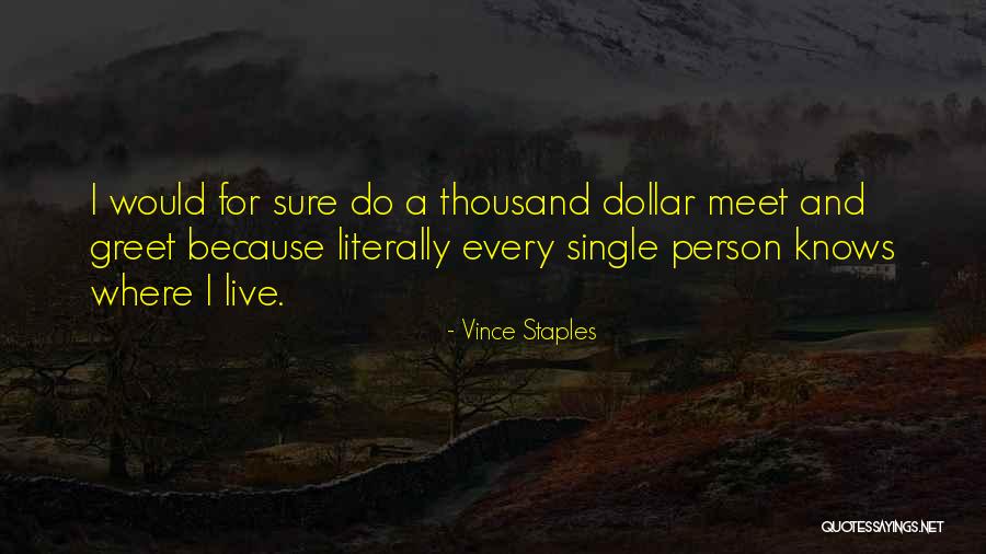 Vince Staples Quotes 2207661