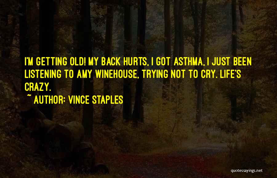 Vince Staples Quotes 899445