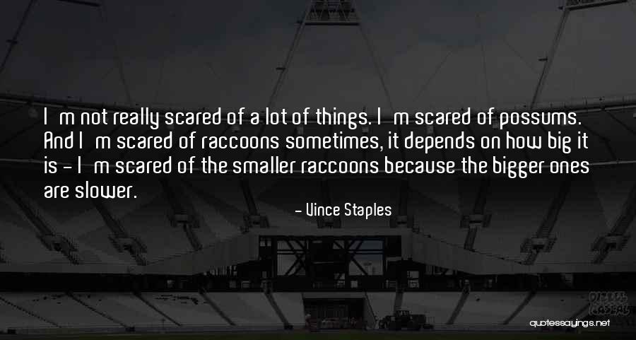 Vince Staples Quotes 95406 Vince Staples Quotes 95406