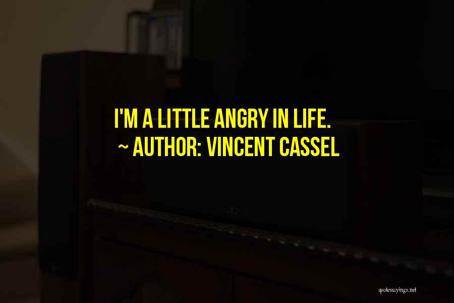 Vincent Cassel Quotes 1069762