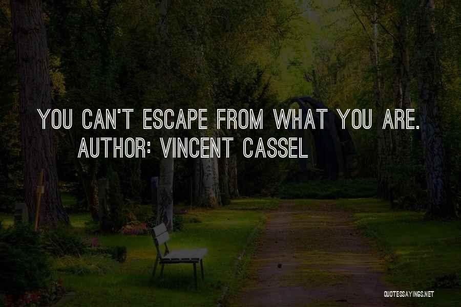 Vincent Cassel Quotes 253323