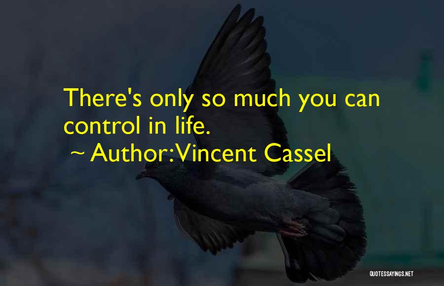 Vincent Cassel Quotes 570058