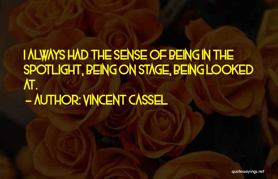 Vincent Cassel Quotes 919970