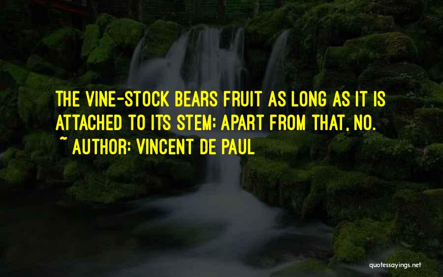 Vincent De Paul Quotes 1860969