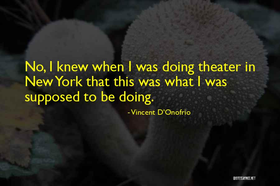 Vincent D'Onofrio Quotes 268244 Vincent D'Onofrio Quotes 268244