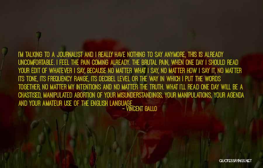 Vincent Gallo Quotes 1010267