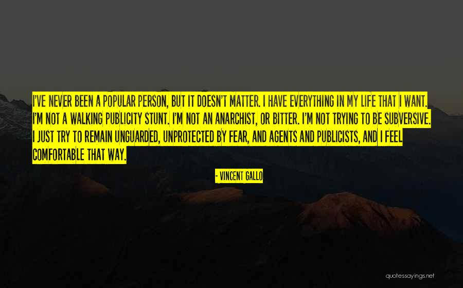 Vincent Gallo Quotes 111485
