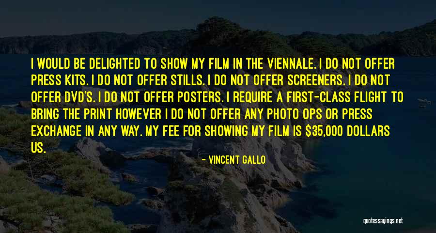 Vincent Gallo Quotes 1761233
