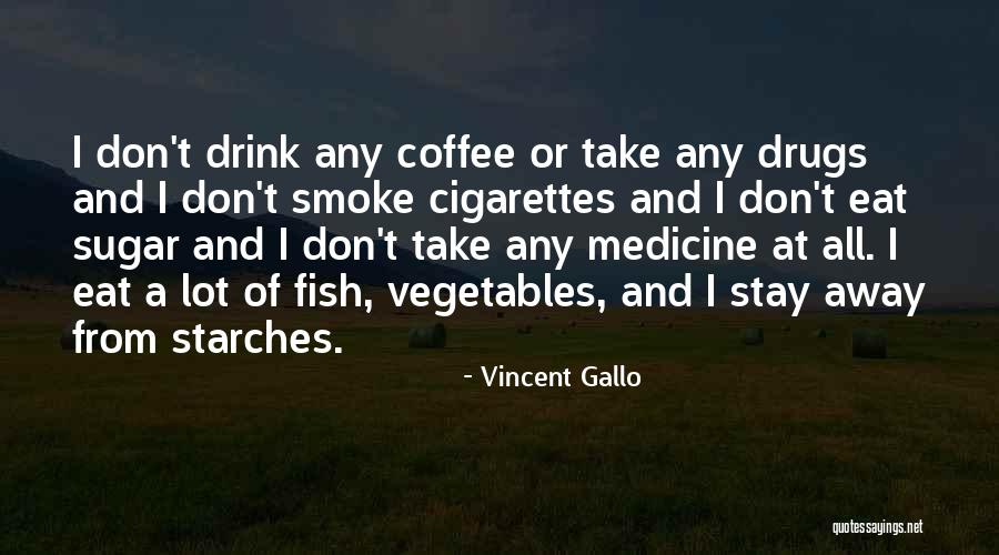 Vincent Gallo Quotes 2117144